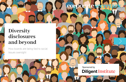 Diversity disclosures and beyond