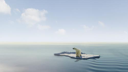 polar bear floating on piece of ice