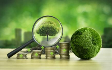 Why newly proposed PCAOB standards could impact ESG